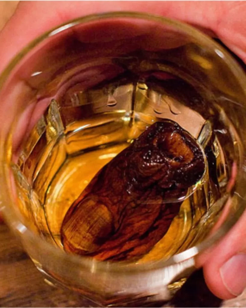 Sourtoe Cocktail